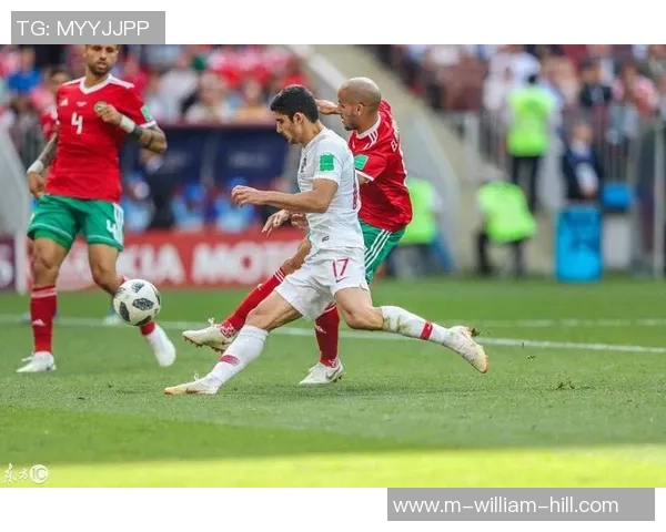 葡萄牙与芬兰足球对决分析：战术布局与球员表现全解析